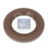 DT 5.30109 Shaft Seal, wheel hub